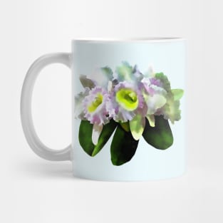 Orchids - BLC Mary Ellen Underwood Krull-Smith Mug